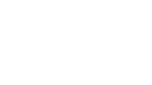 BRT white logo